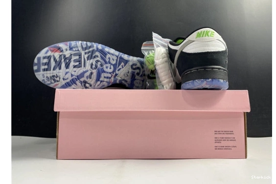 BV1310-013 SB Panda Pigeon Dunk Staple Nike Low 1108